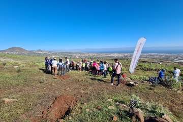 Telde planta 500 ejemplares de especies distintas en Calasio/TA.